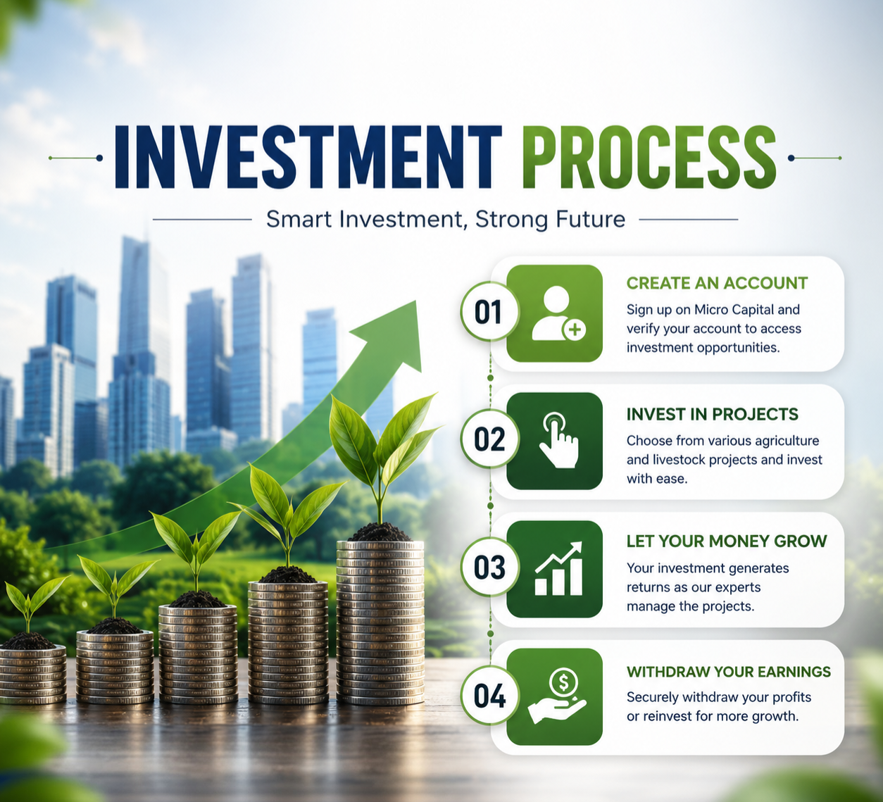 Micro Capital investment process